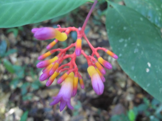 The colors you could find were amazing.