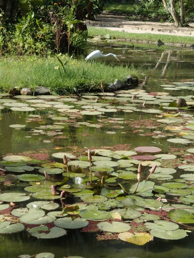 Serenity before lunch.