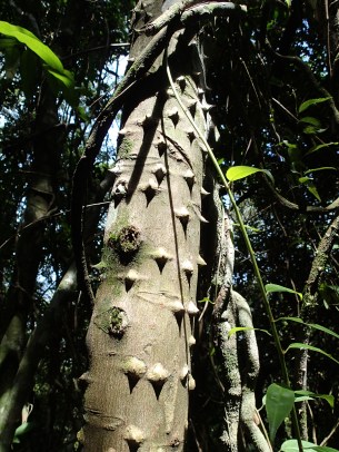 And watch your handholds too...